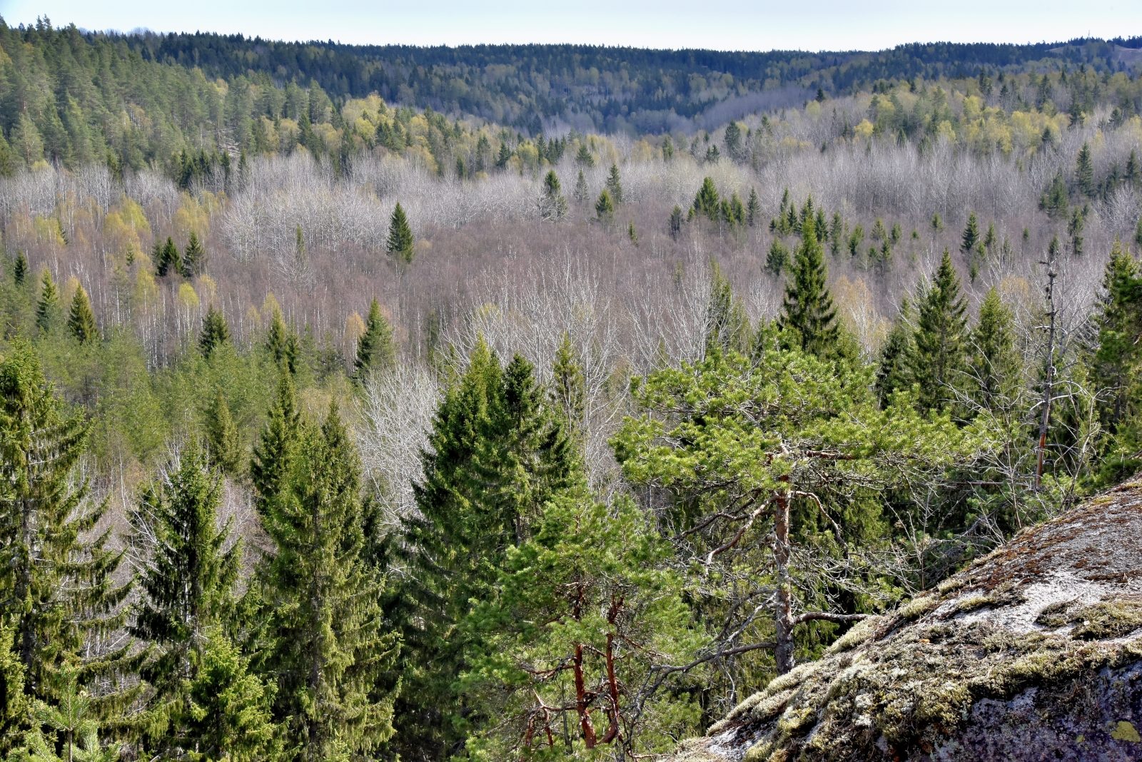 Valokuvaaja: Reijo Juurinen