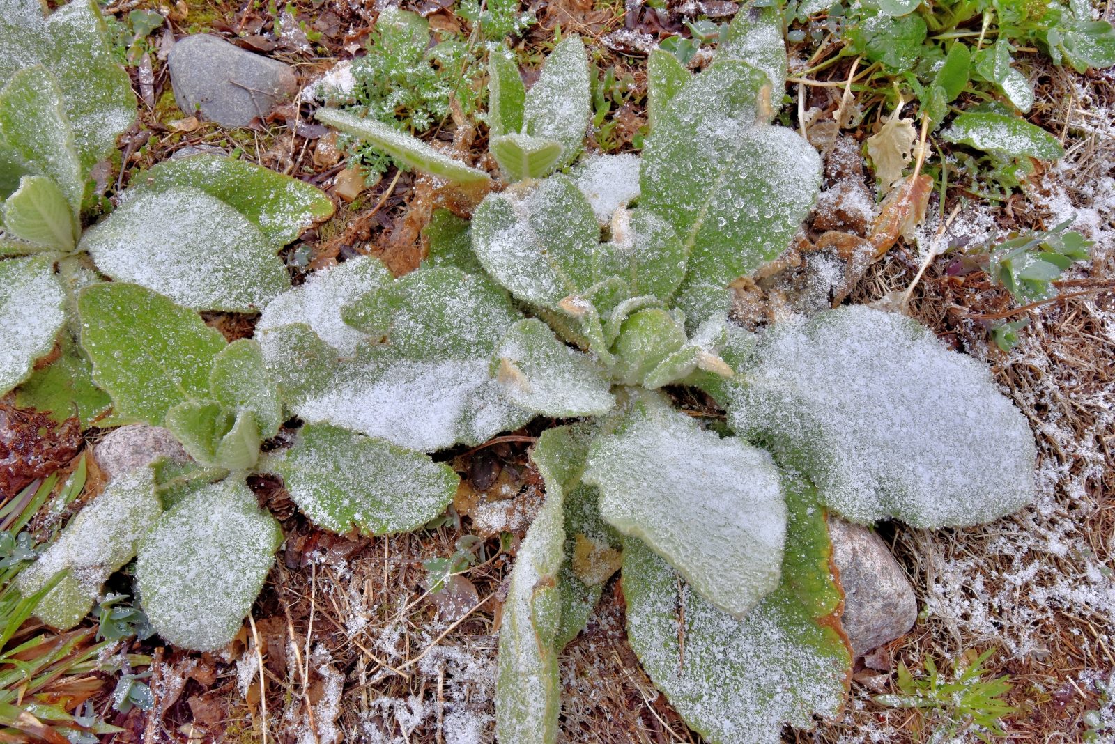 Valokuvaaja: Reijo Juurinen