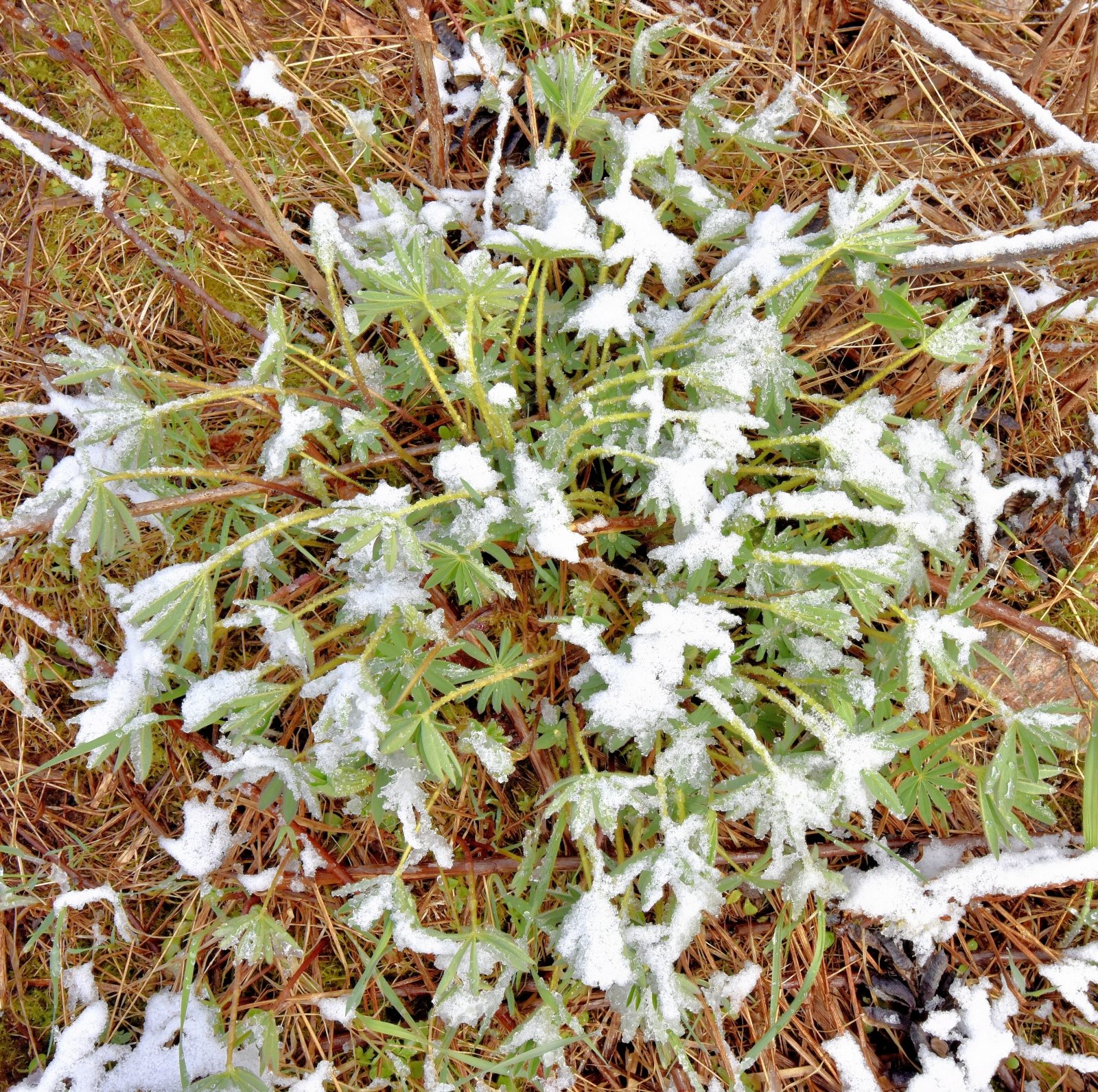 Valokuvaaja: Reijo Juurinen