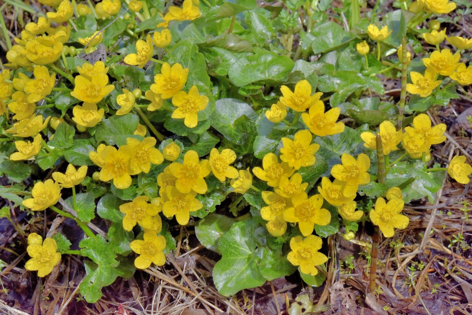 Valokuvaaja: Reijo Juurinen