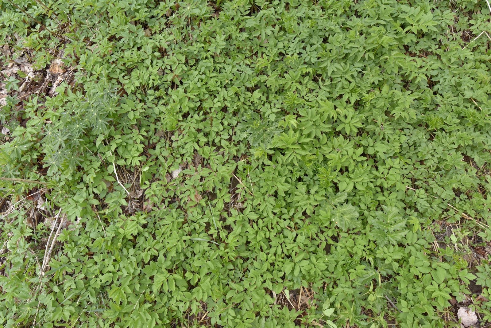 Valokuvaaja: Reijo Juurinen