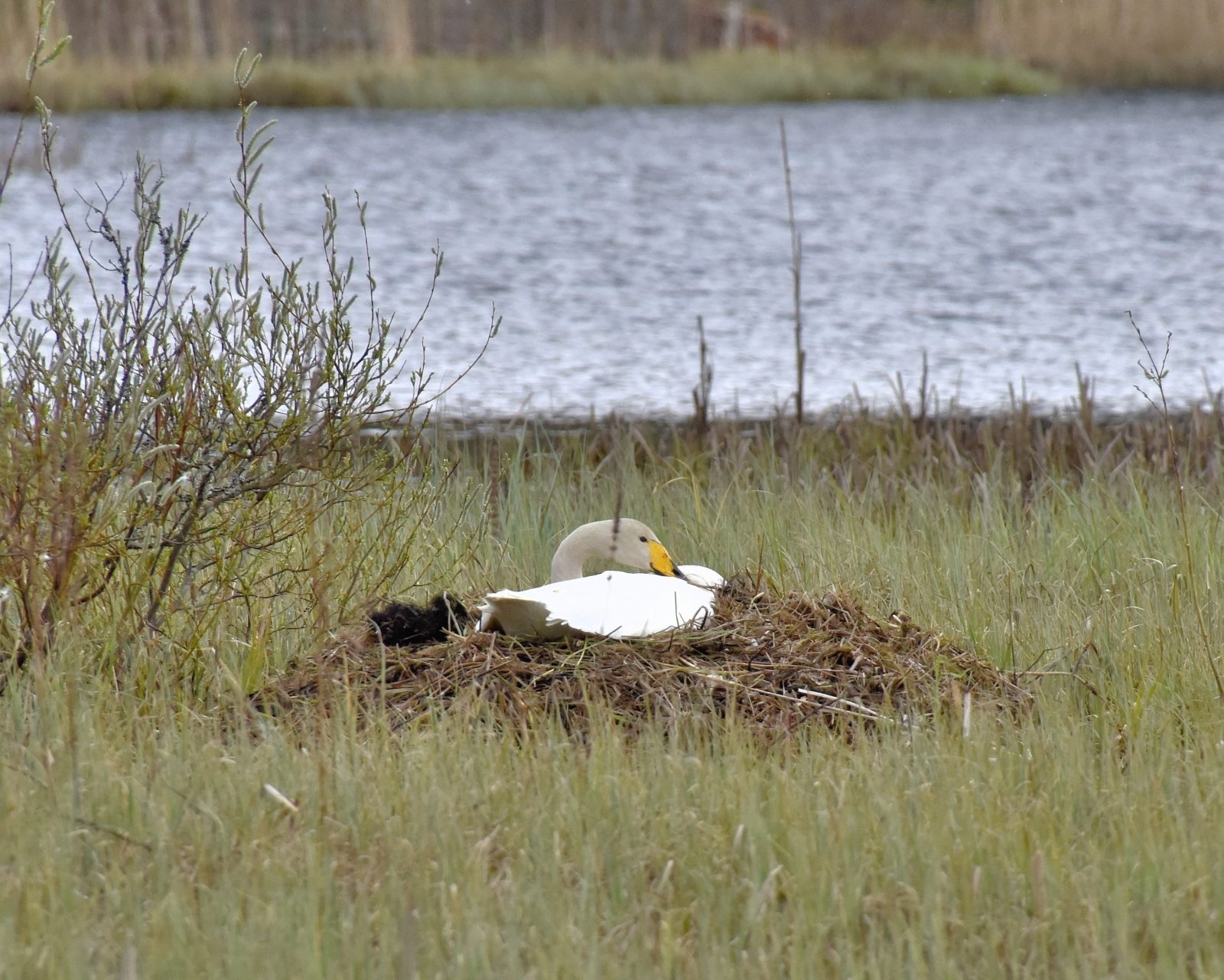 Valokuvaaja: Reijo Juurinen