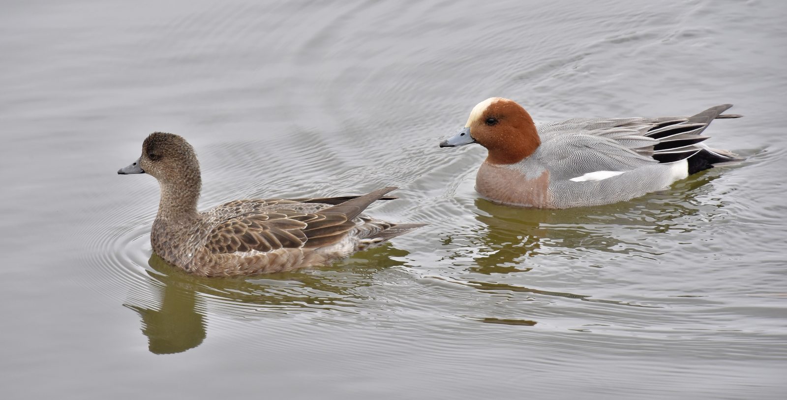 Valokuvaaja: Reijo Juurinen