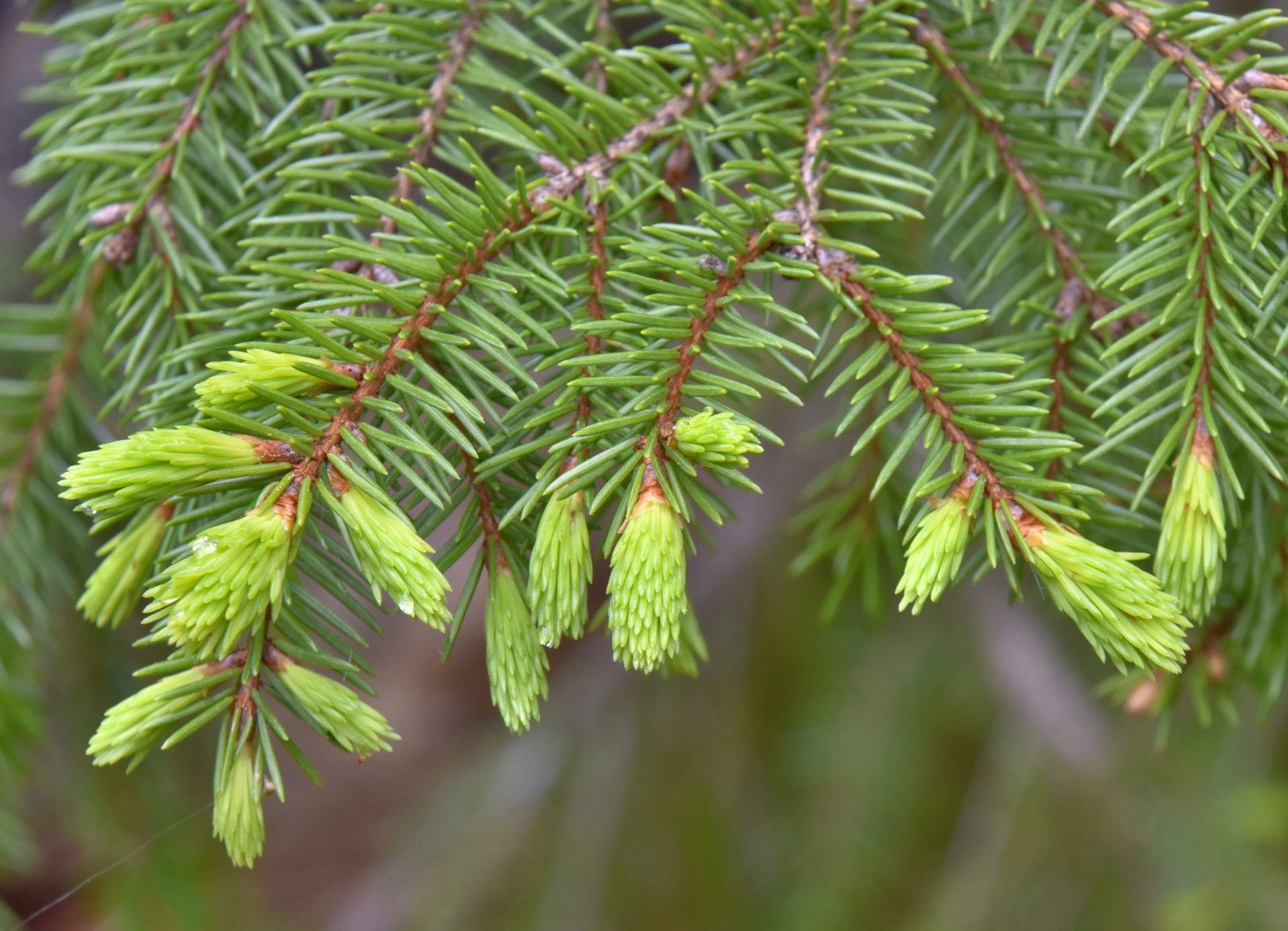 Valokuvaaja: Reijo Juurinen