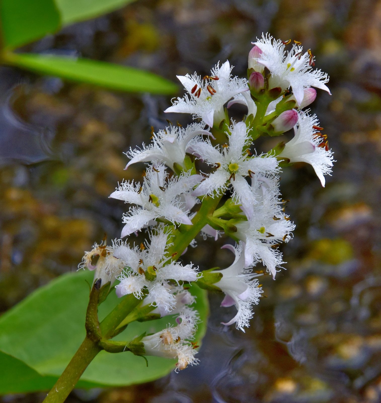 Valokuvaaja: Reijo Juurinen