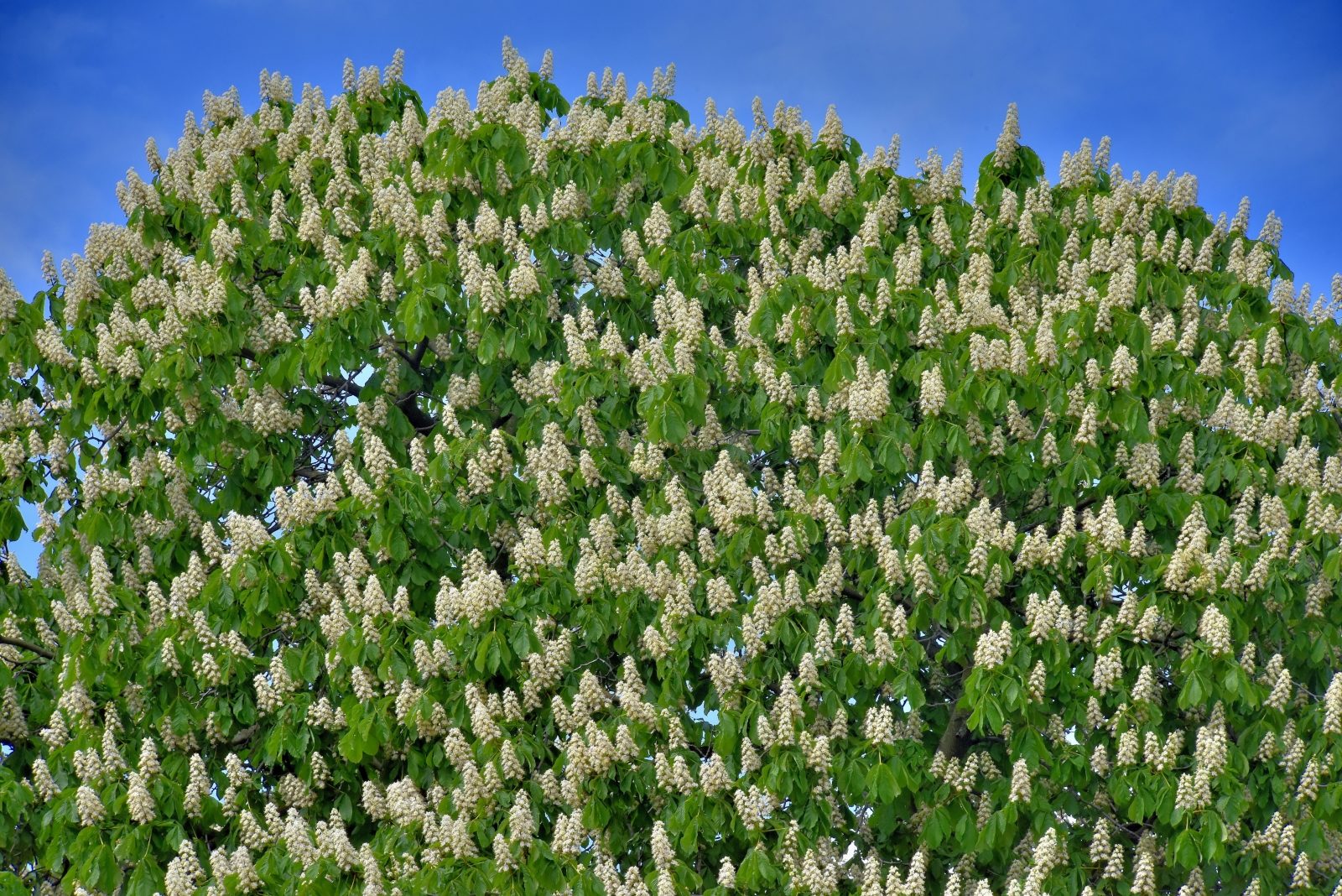 Valokuvaaja: Reijo Juurinen