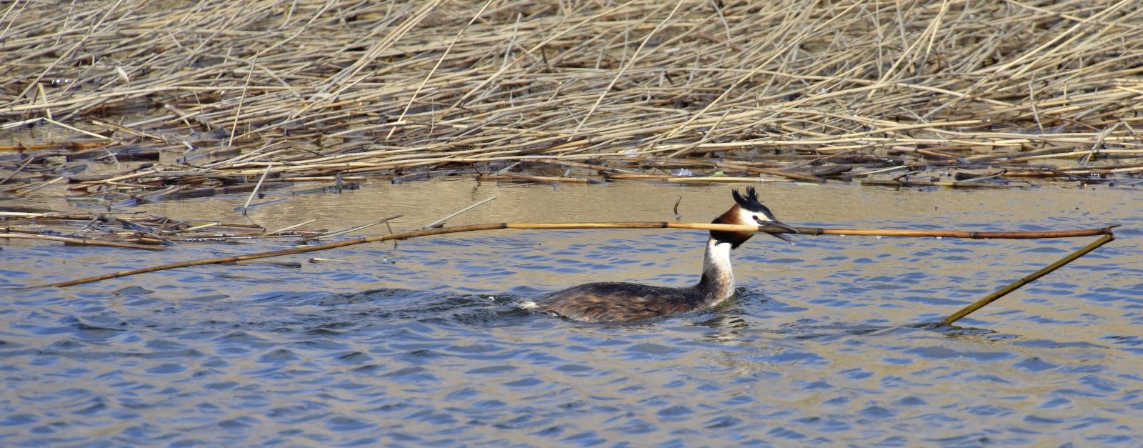 Valokuvaaja: Reijo Juurinen
