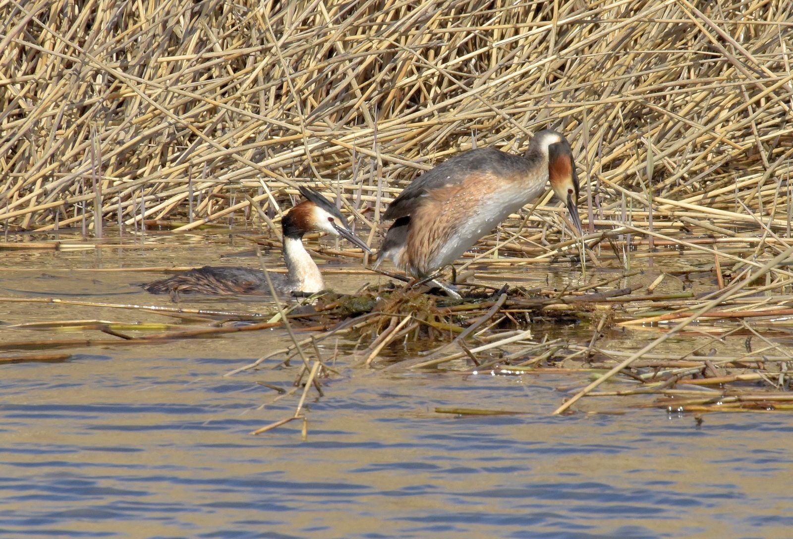 Valokuvaaja: Reijo Juurinen
