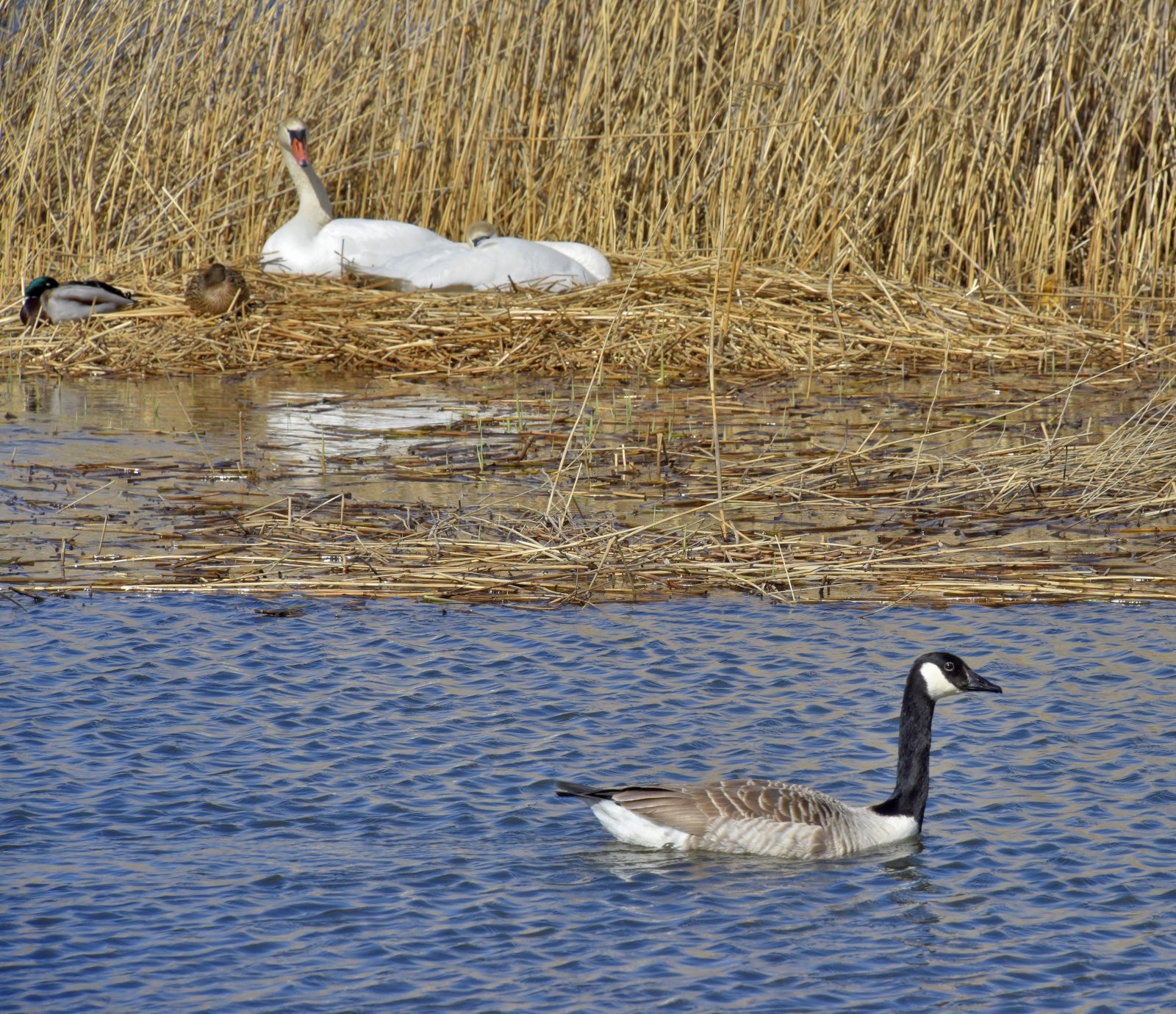 Valokuvaaja: Reijo Juurinen