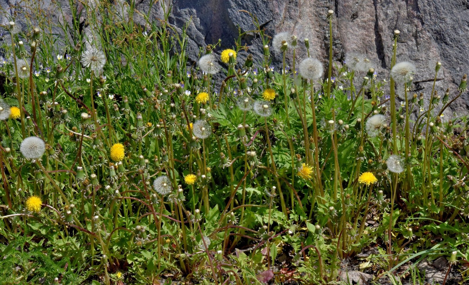Valokuvaaja: Reijo Juurinen