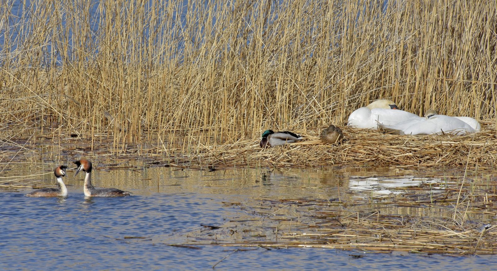 Valokuvaaja: Reijo Juurinen