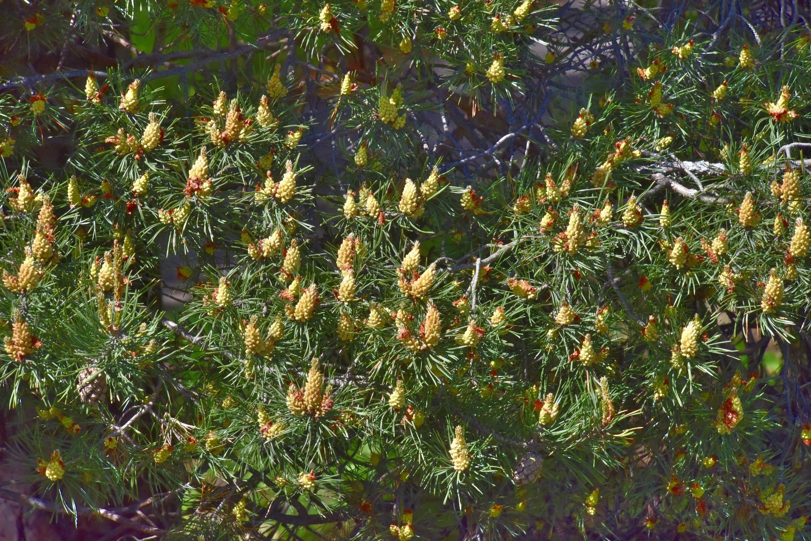 Valokuvaaja: Reijo Juurinen