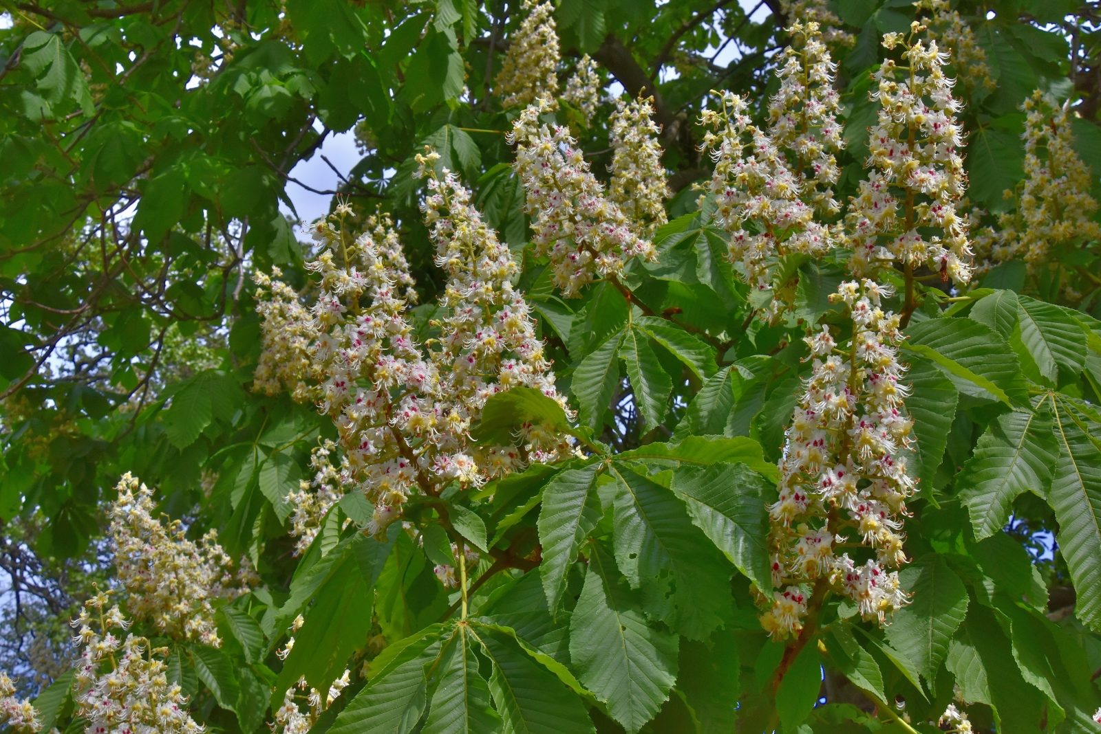 Valokuvaaja: Reijo Juurinen