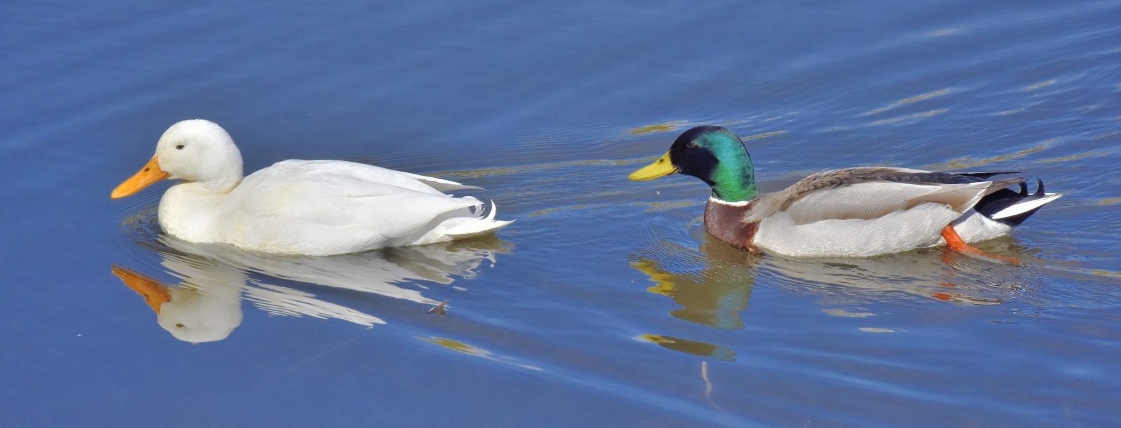 Valokuvaaja: Reijo Juurinen