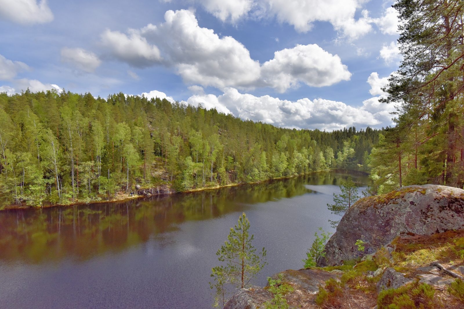 Valokuvaaja: Reijo Juurinen Valokuvaaja: Reijo Juurinen