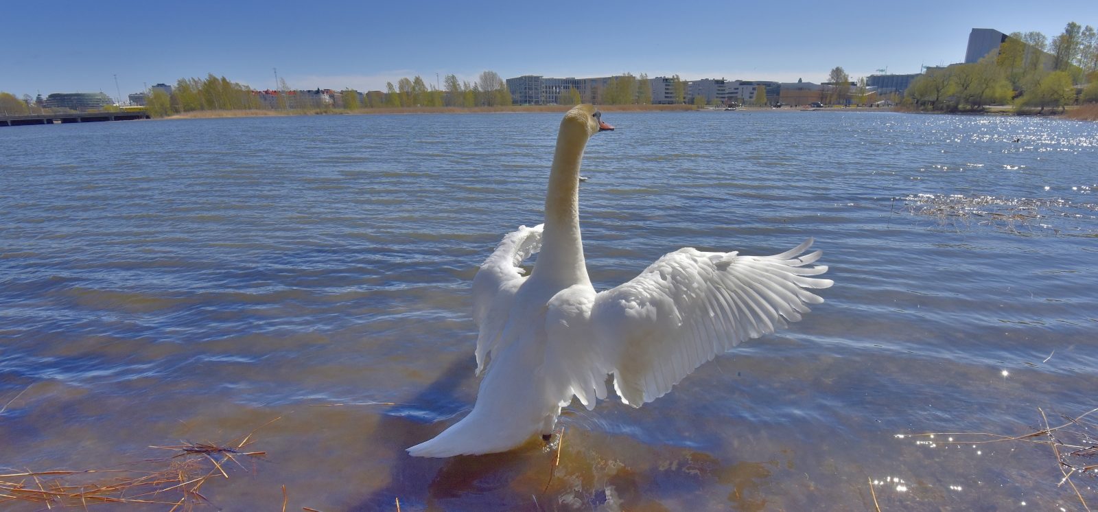 Valokuvaaja: Reijo Juurinen