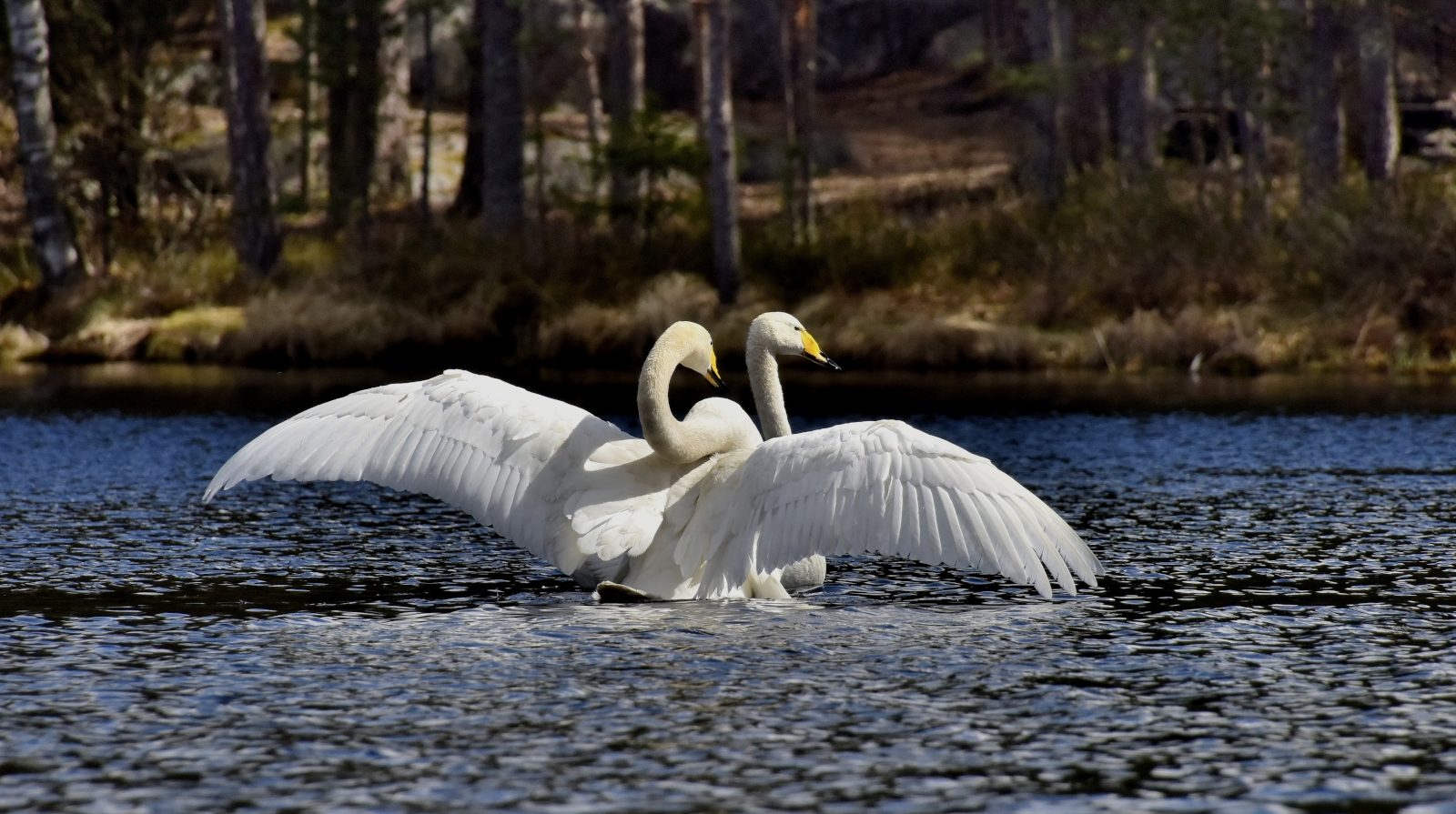 Valokuvaaja: Reijo Juurinen