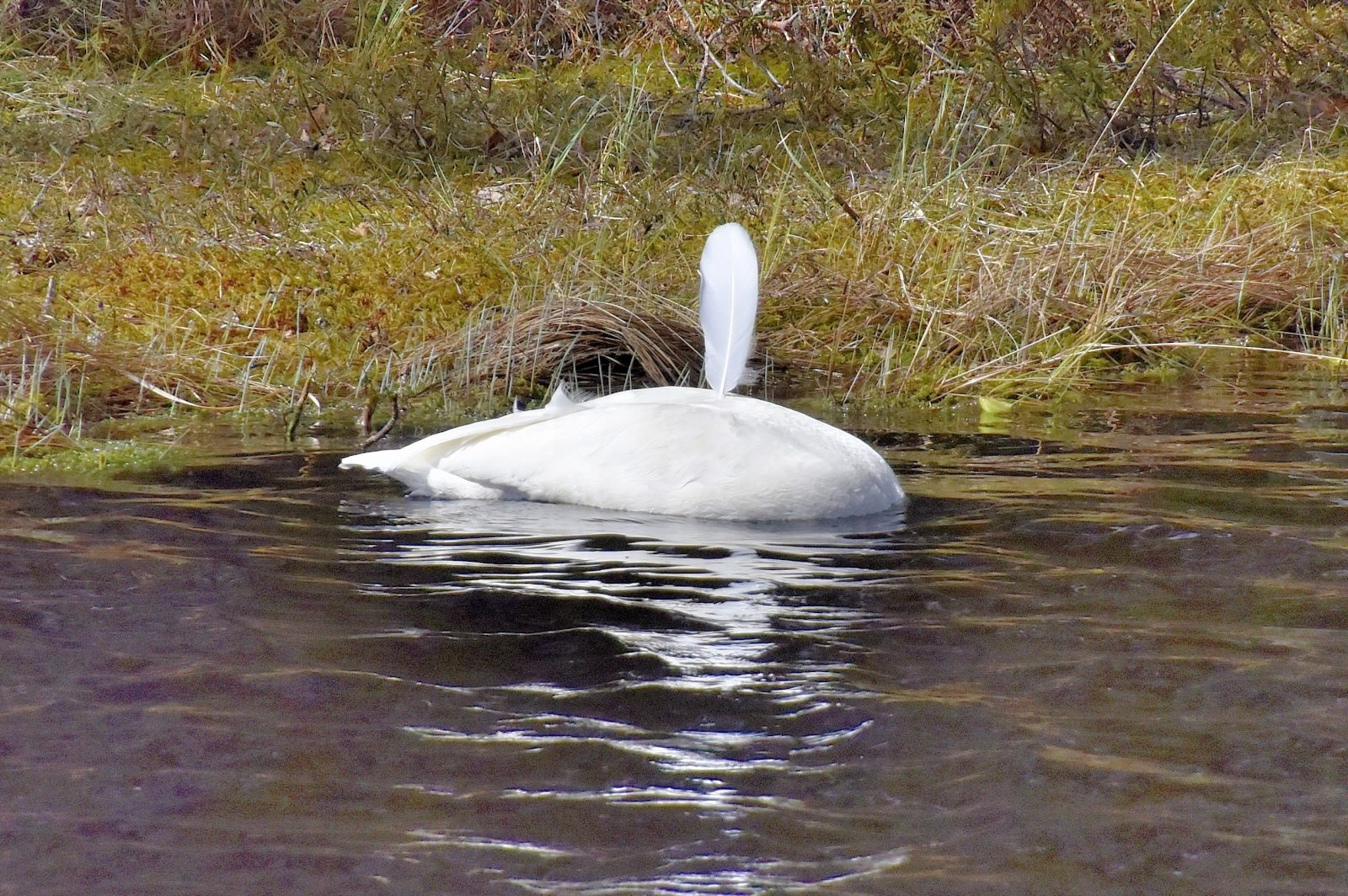 Valokuvaaja: Reijo Juurinen