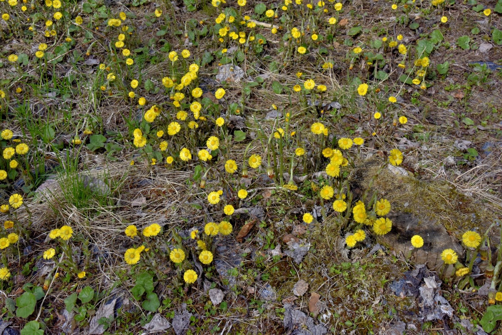 Valokuvaaja: Reijo Juurinen