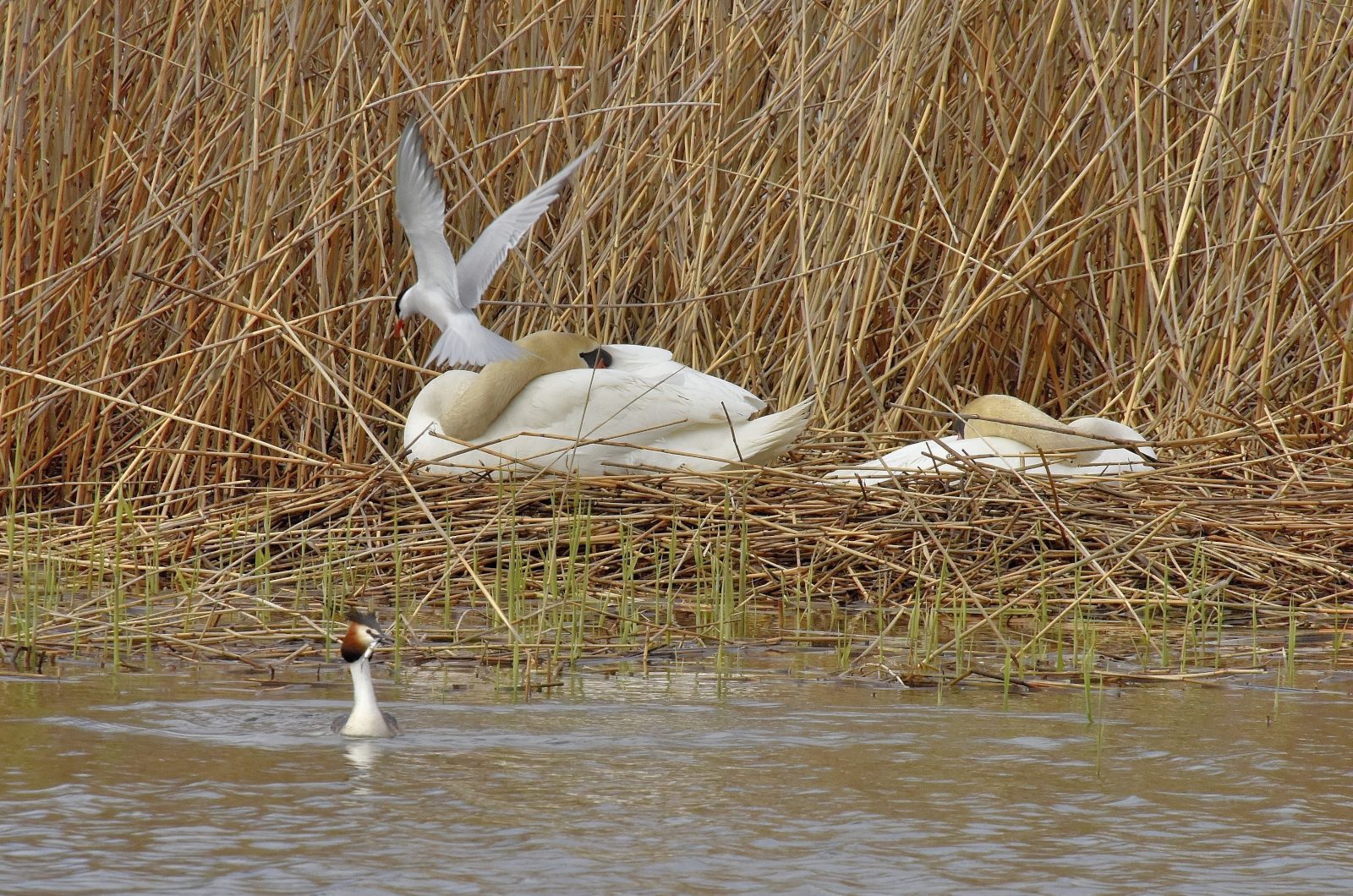 Valokuvaaja: Reijo Juurinen