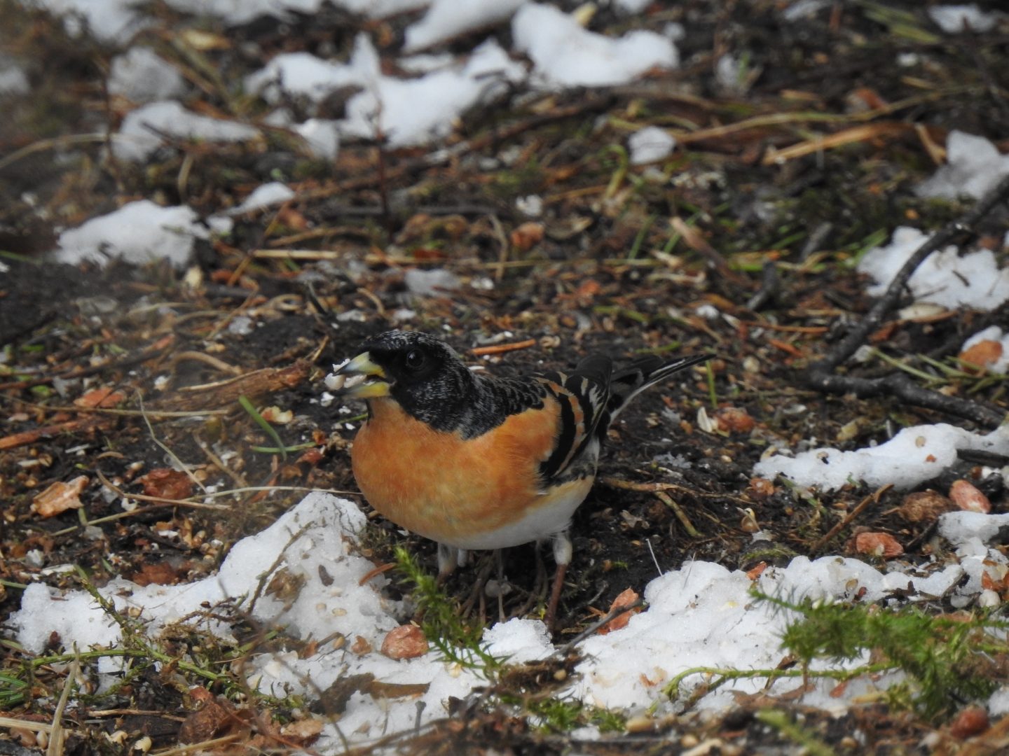Valokuvaaja: Anne Hartikainen Valokuvaaja: Anne Hartikainen