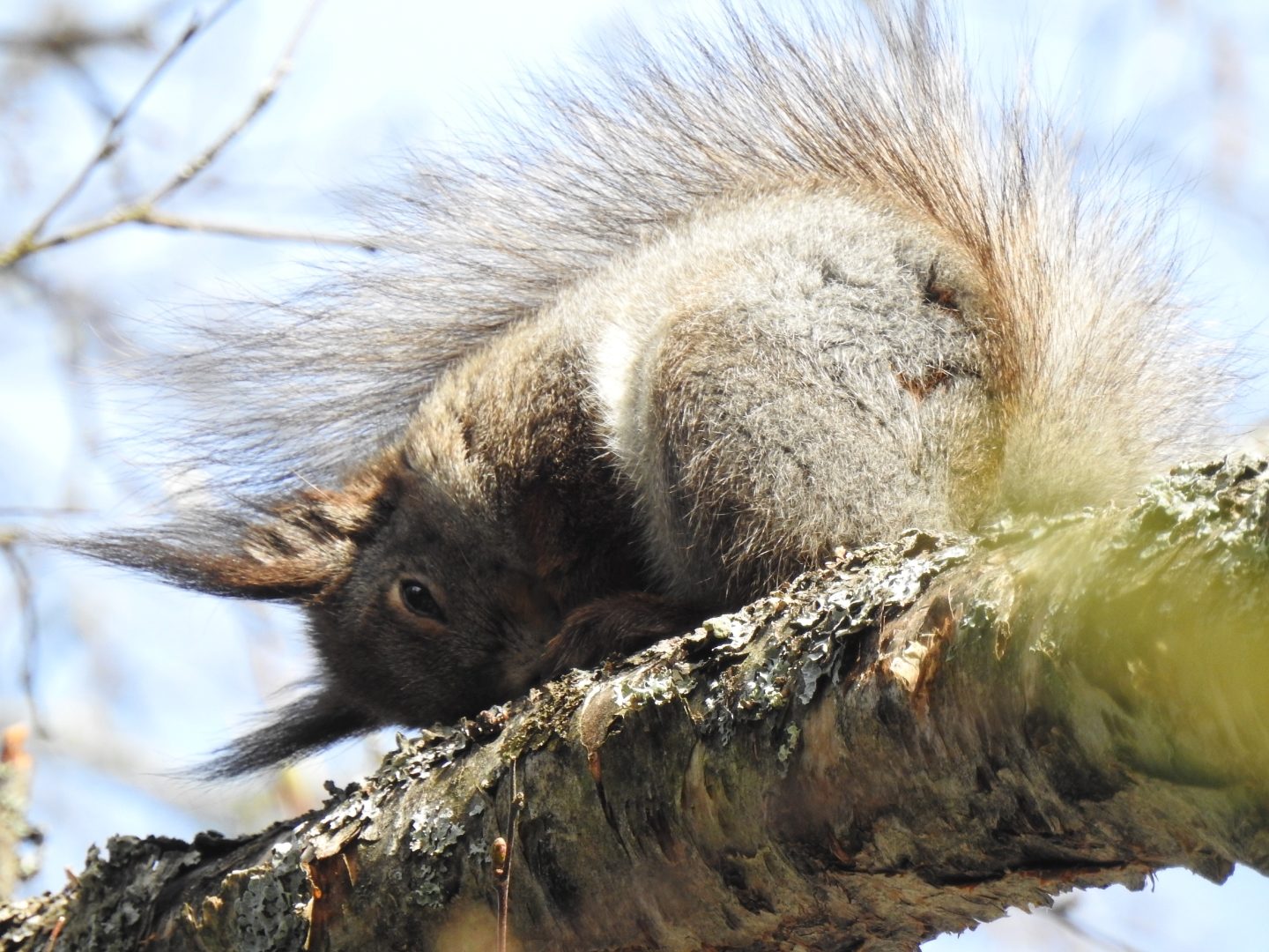 Valokuvaaja: Anne Hartikainen