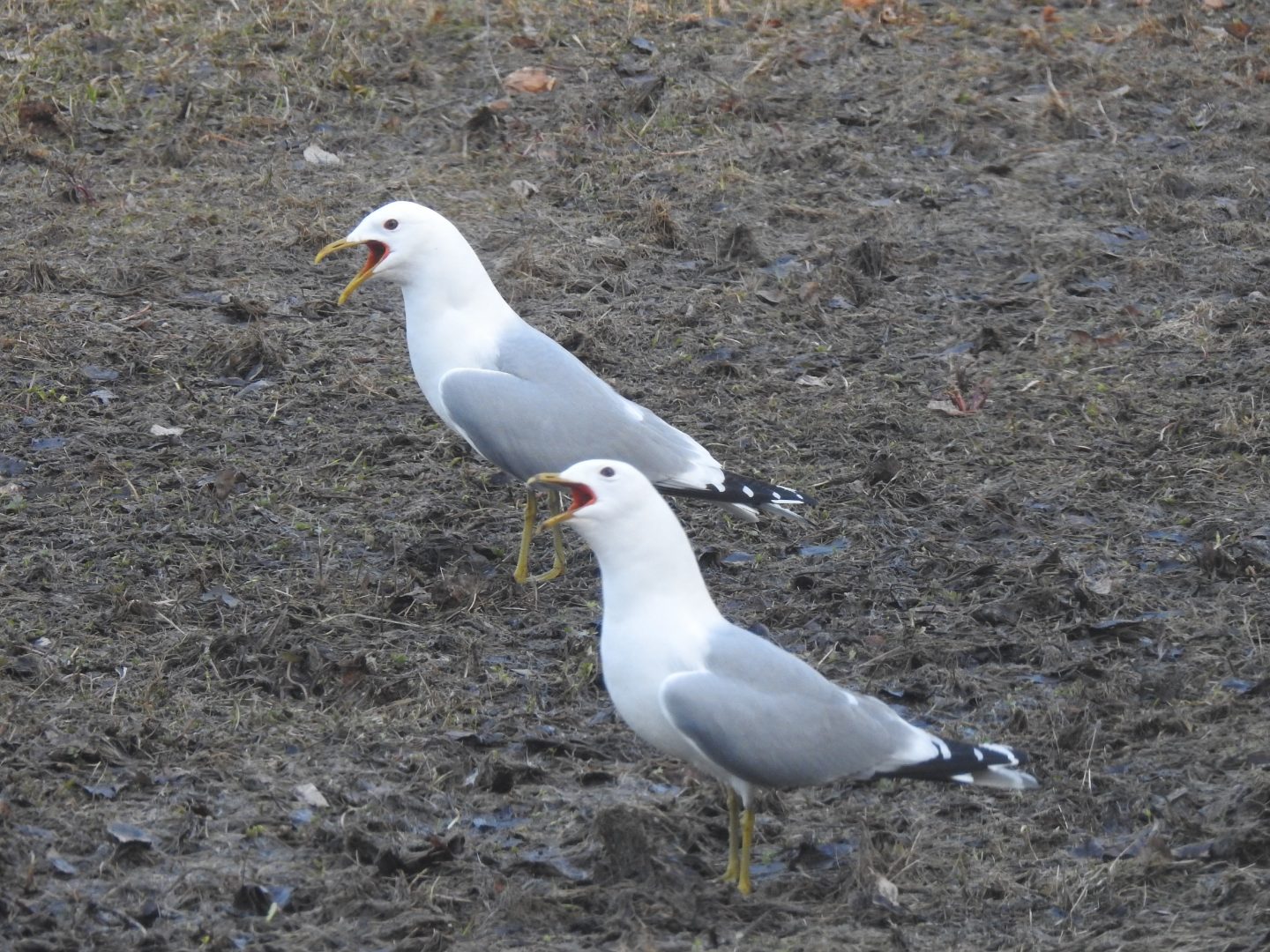 Valokuvaaja: Anne Hartikainen