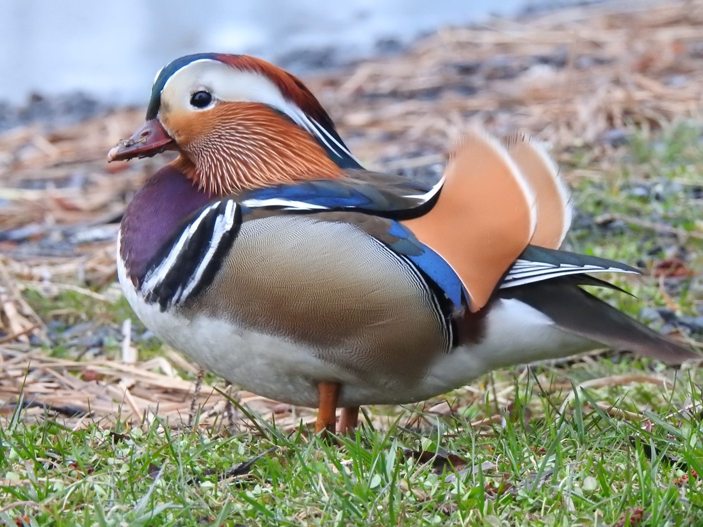 Valokuvaaja: Anne Hartikainen Valokuvaaja: Anne Hartikainen