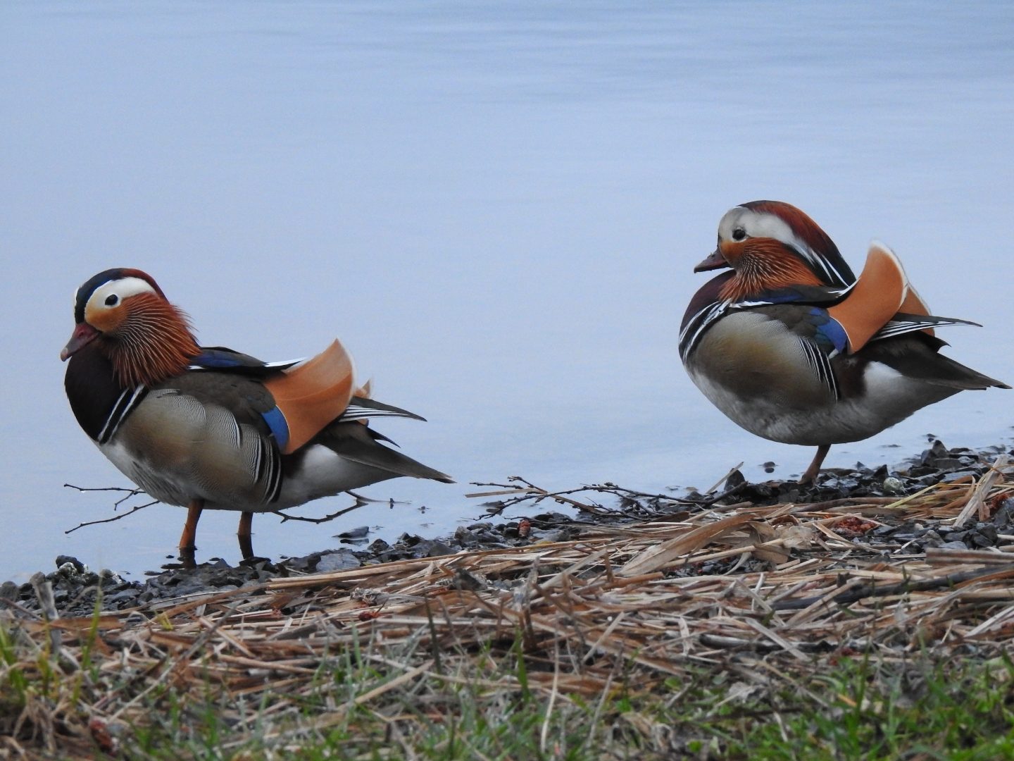 Valokuvaaja: Anne Hartikainen