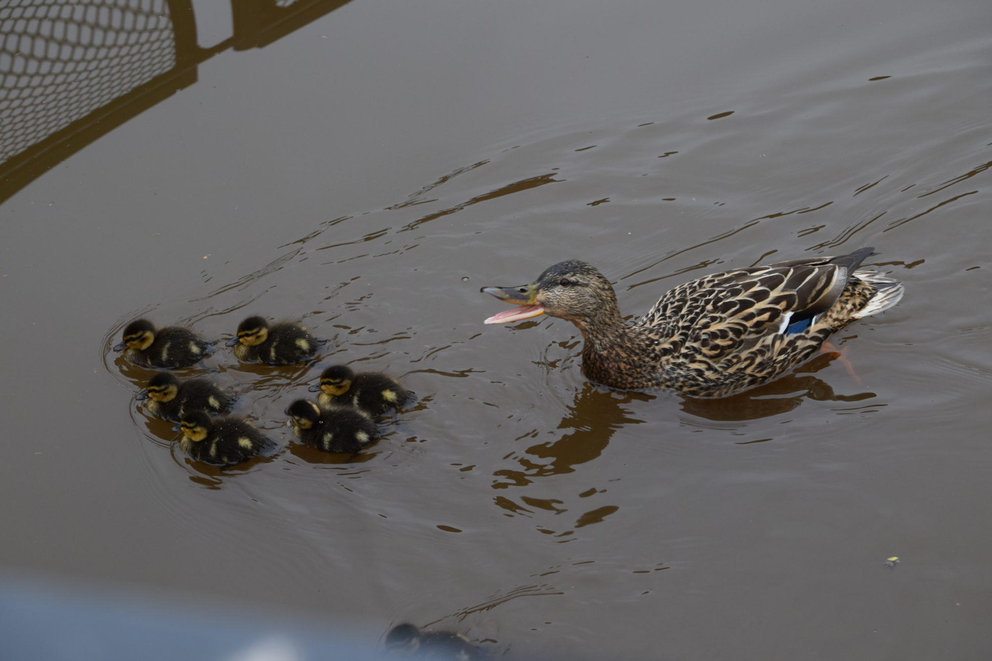 Valokuvaaja: Riitta Marjamäki Valokuvaaja: Riitta Marjamäki