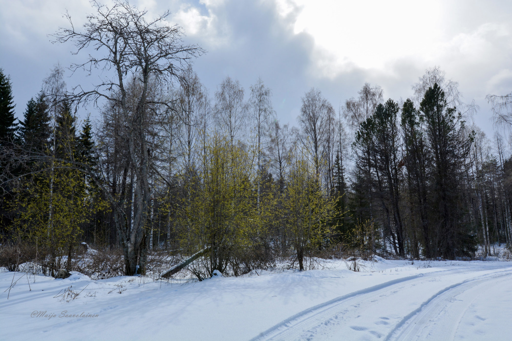 Valokuvaaja: Maija Savolainen