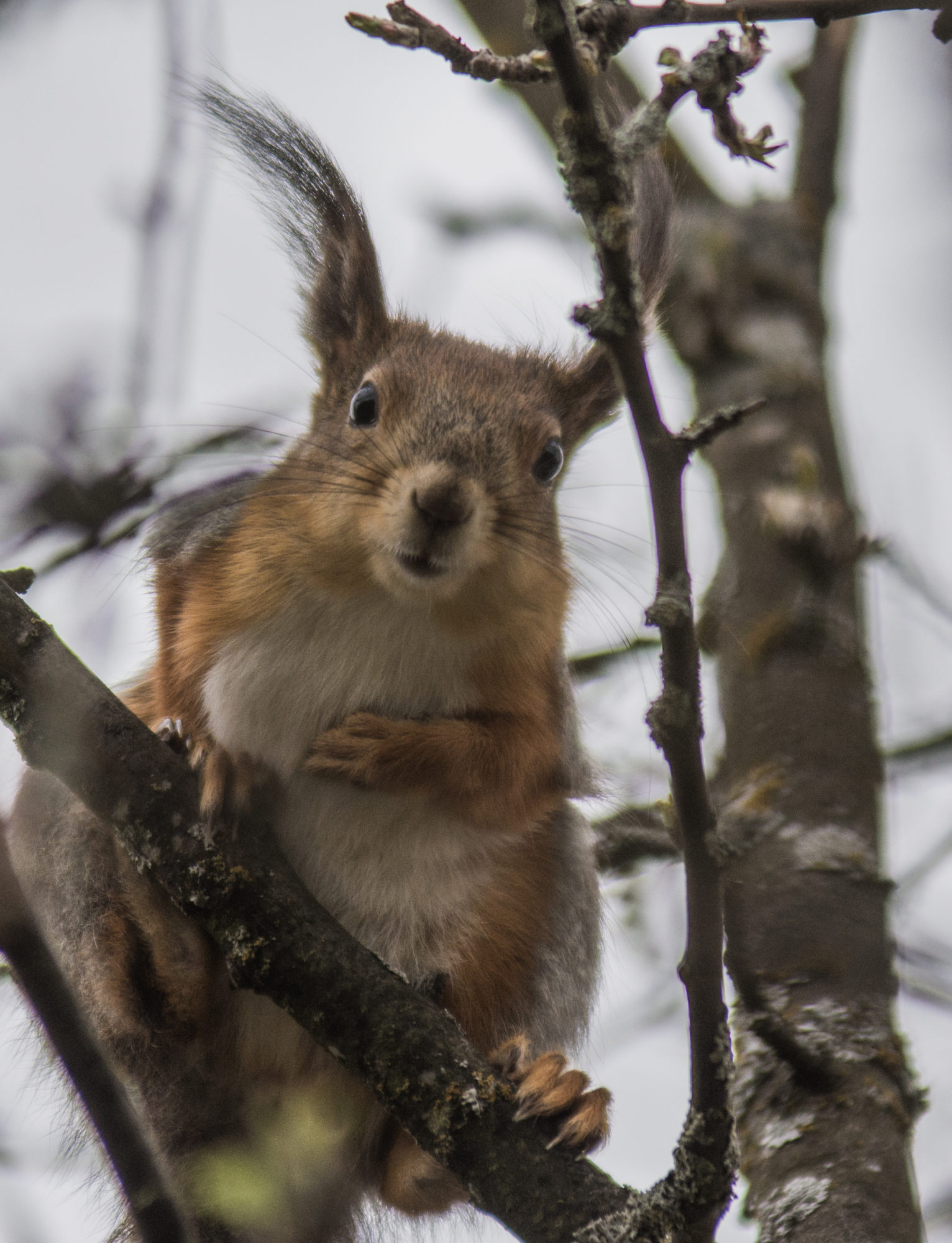 Valokuvaaja: markku saarinen