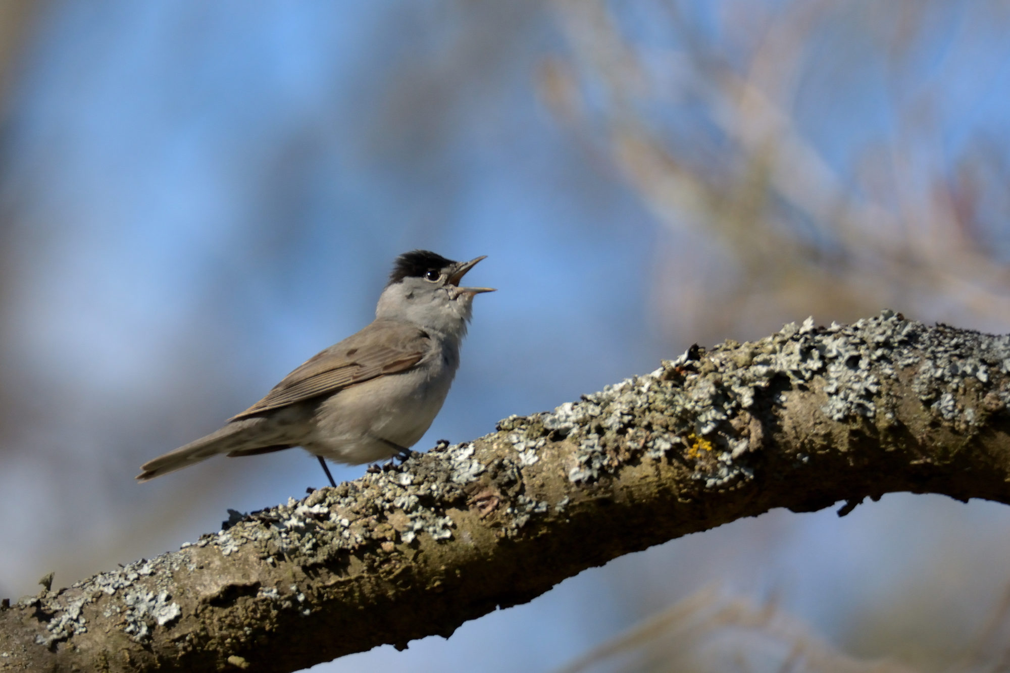 Valokuvaaja: Asko Heikkinen