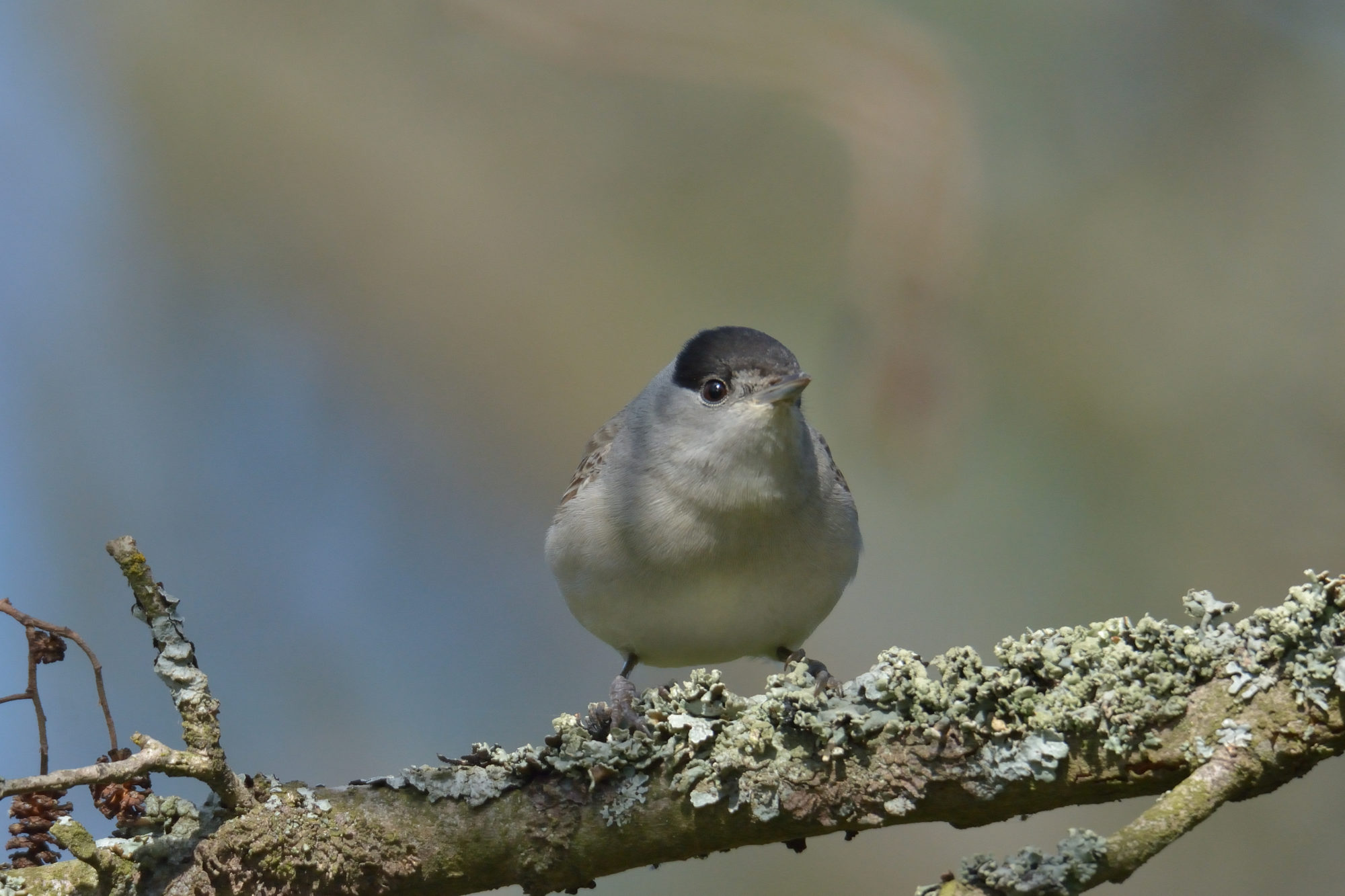 Valokuvaaja: Asko Heikkinen