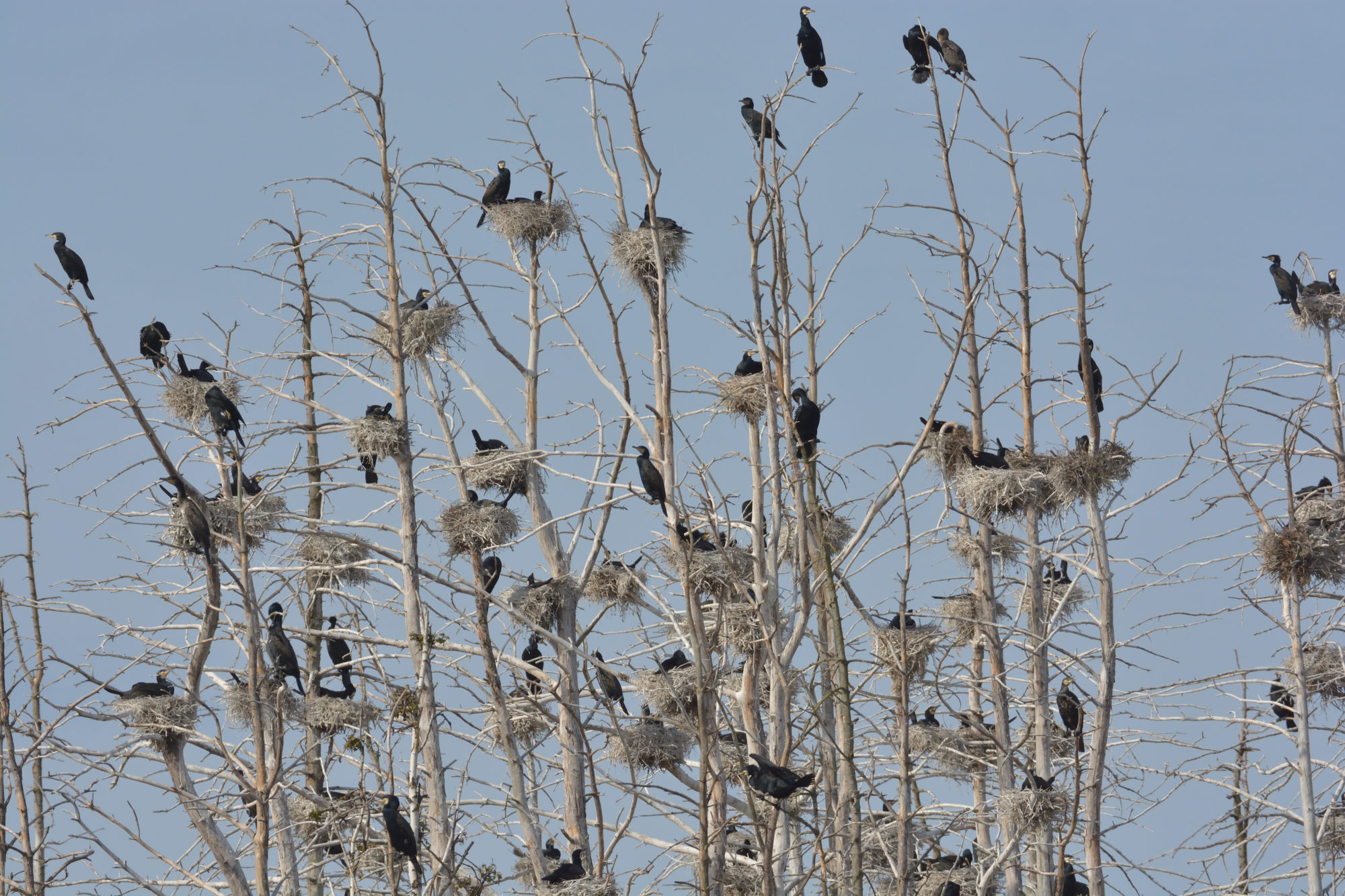 Valokuvaaja: Asko Heikkinen