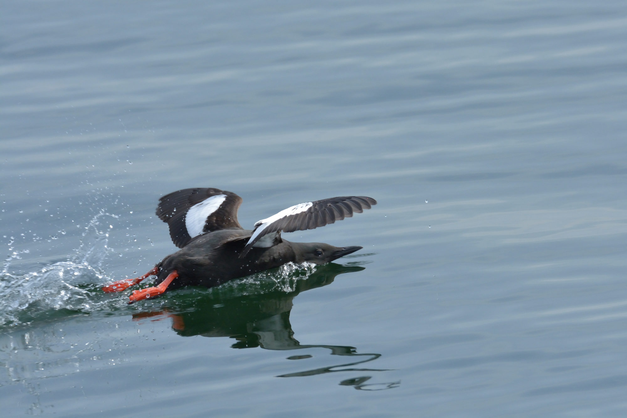 Valokuvaaja: Asko Heikkinen