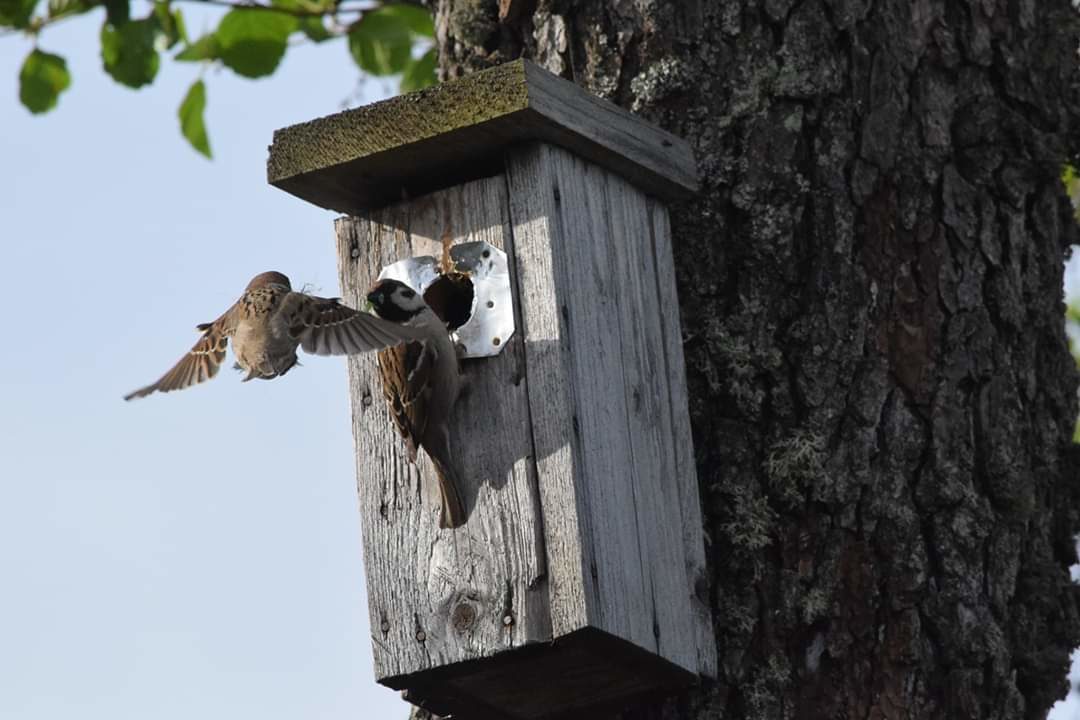 Valokuvaaja: Riitta Marjamäki