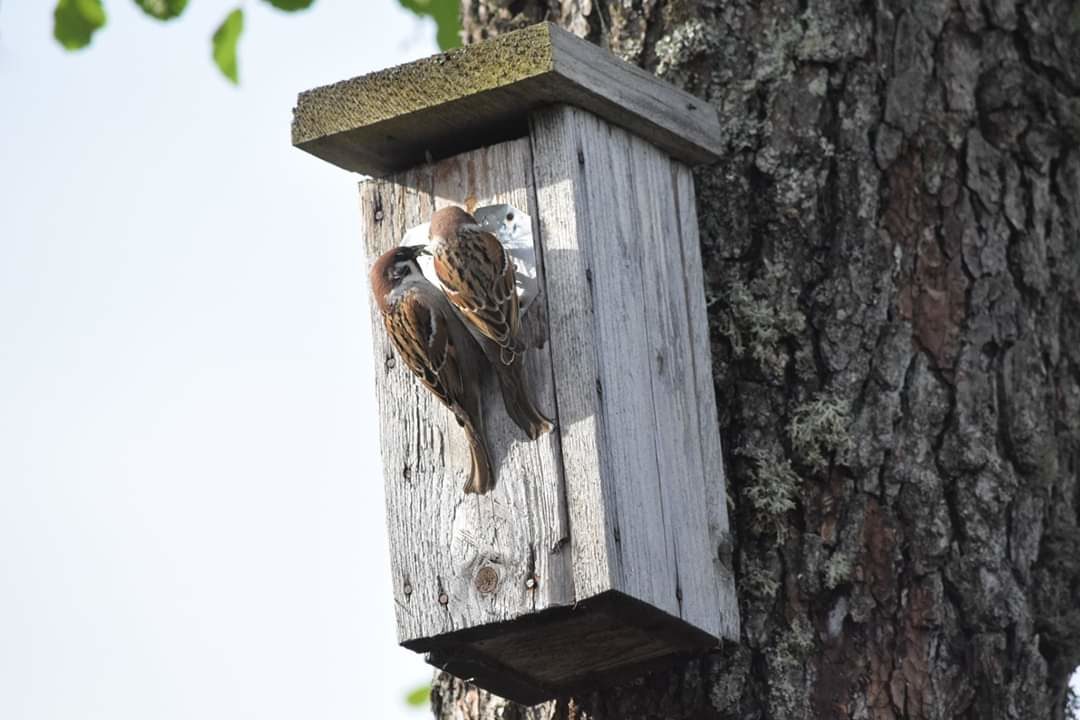 Valokuvaaja: Riitta Marjamäki Valokuvaaja: Riitta Marjamäki