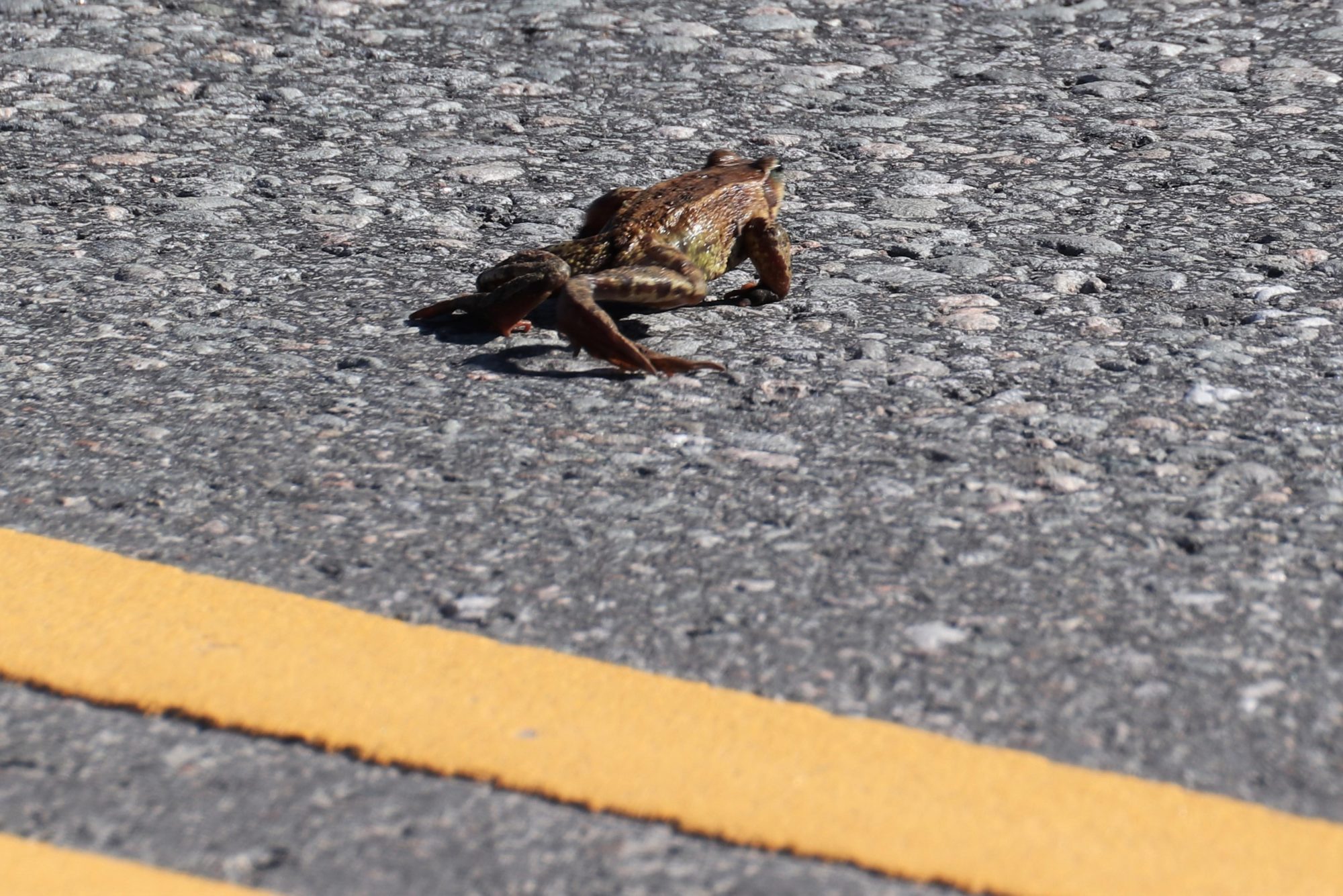 Valokuvaaja: Irja Lehtinen