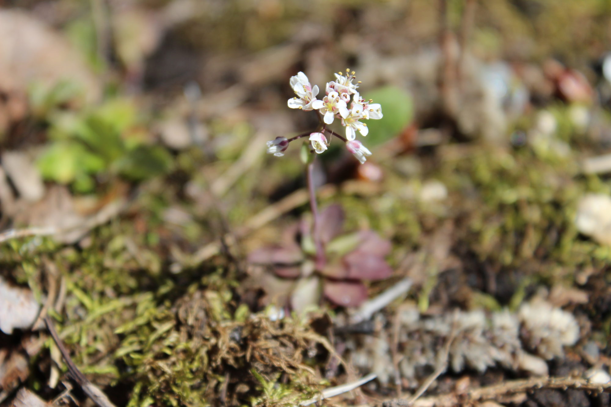 Valokuvaaja: Neemi Tikkanen