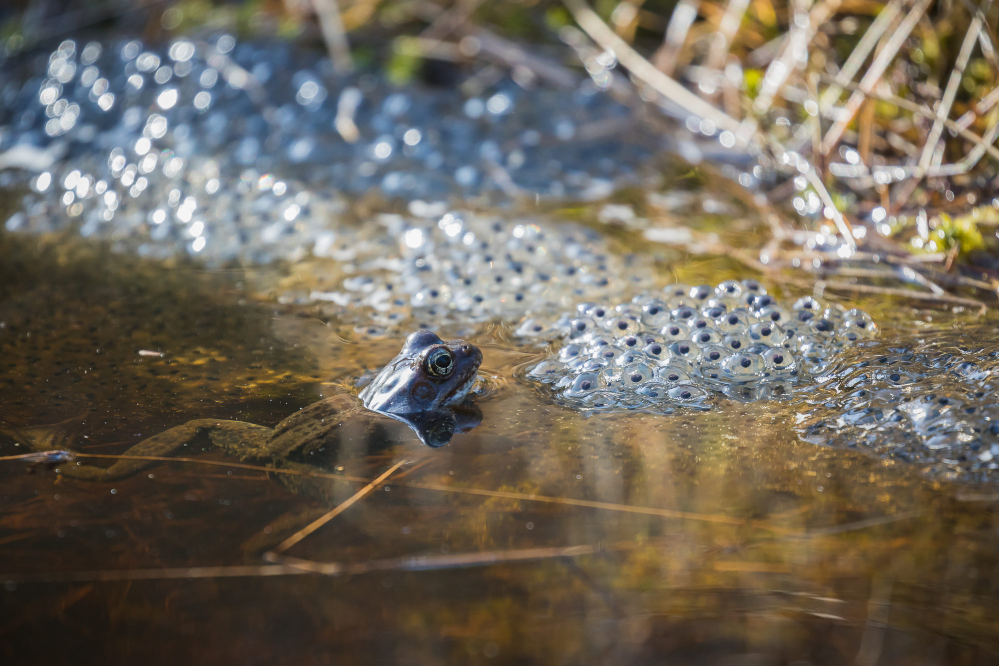 Valokuvaaja: Mikko Kallio