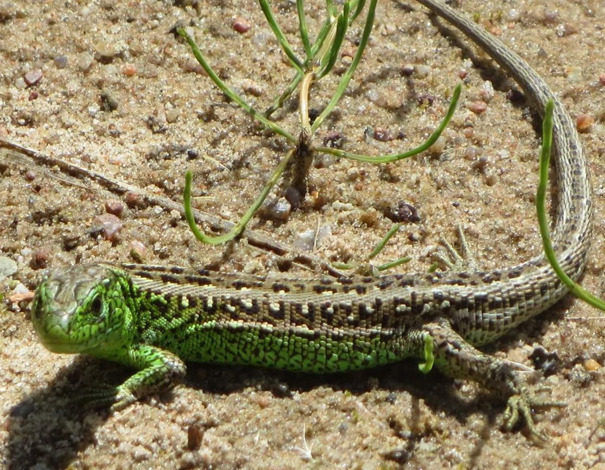Valokuvaaja: Minna Korhonen