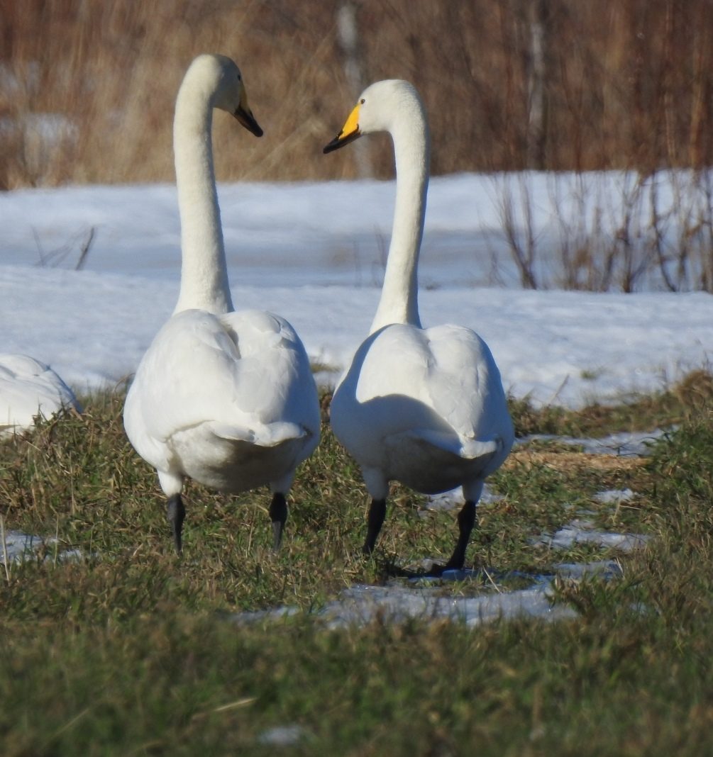 Valokuvaaja: Anne Hartikainen