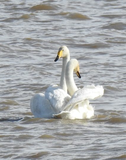 Valokuvaaja: Anne Hartikainen