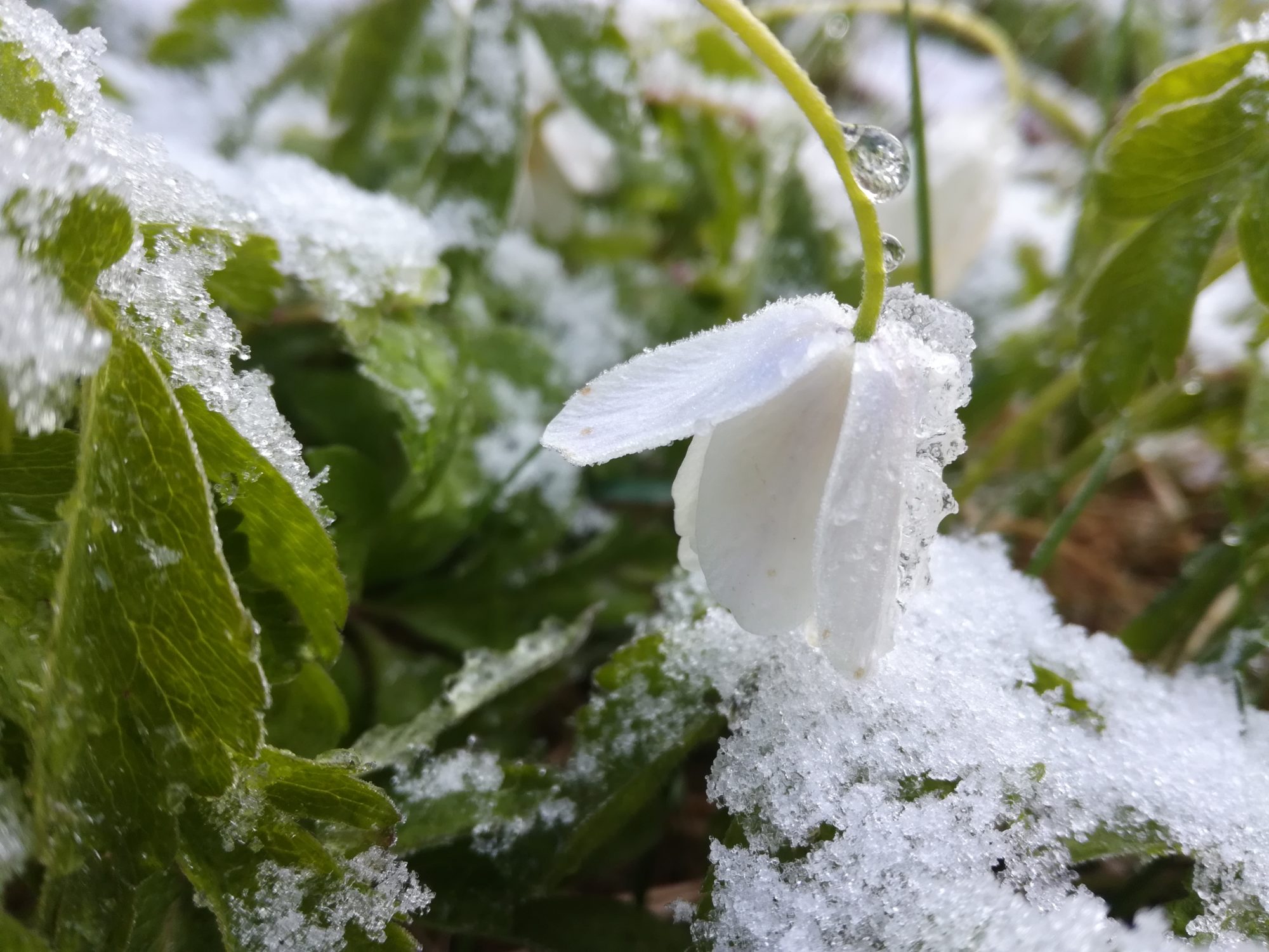Valokuvaaja: Riitta Marjamäki