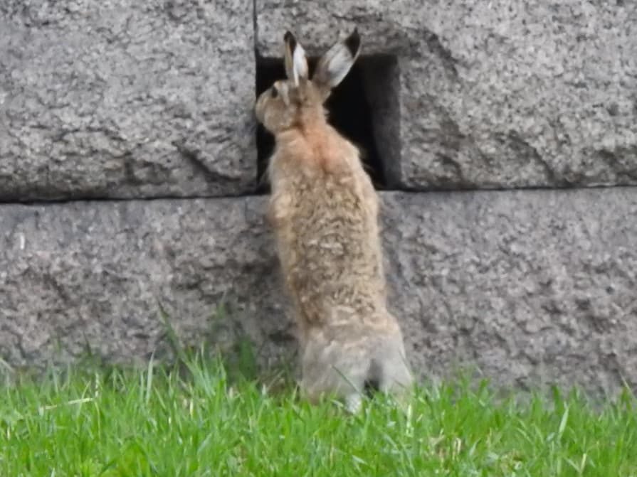 Valokuvaaja: Anne Hartikainen