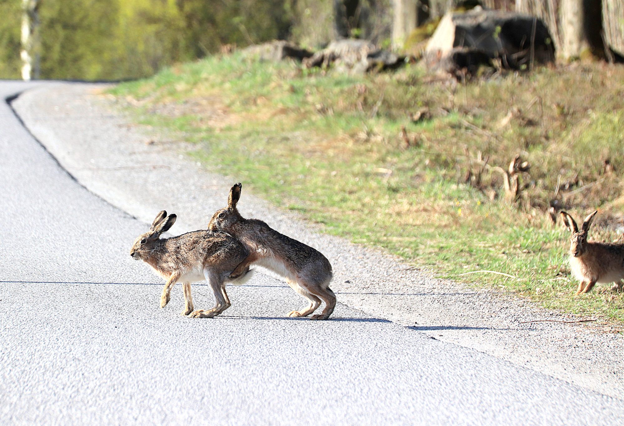 Valokuvaaja: Irja Lehtinen