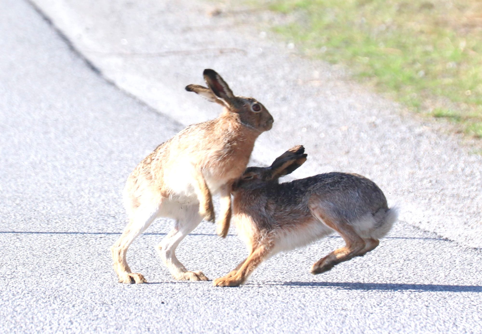 Valokuvaaja: Irja Lehtinen