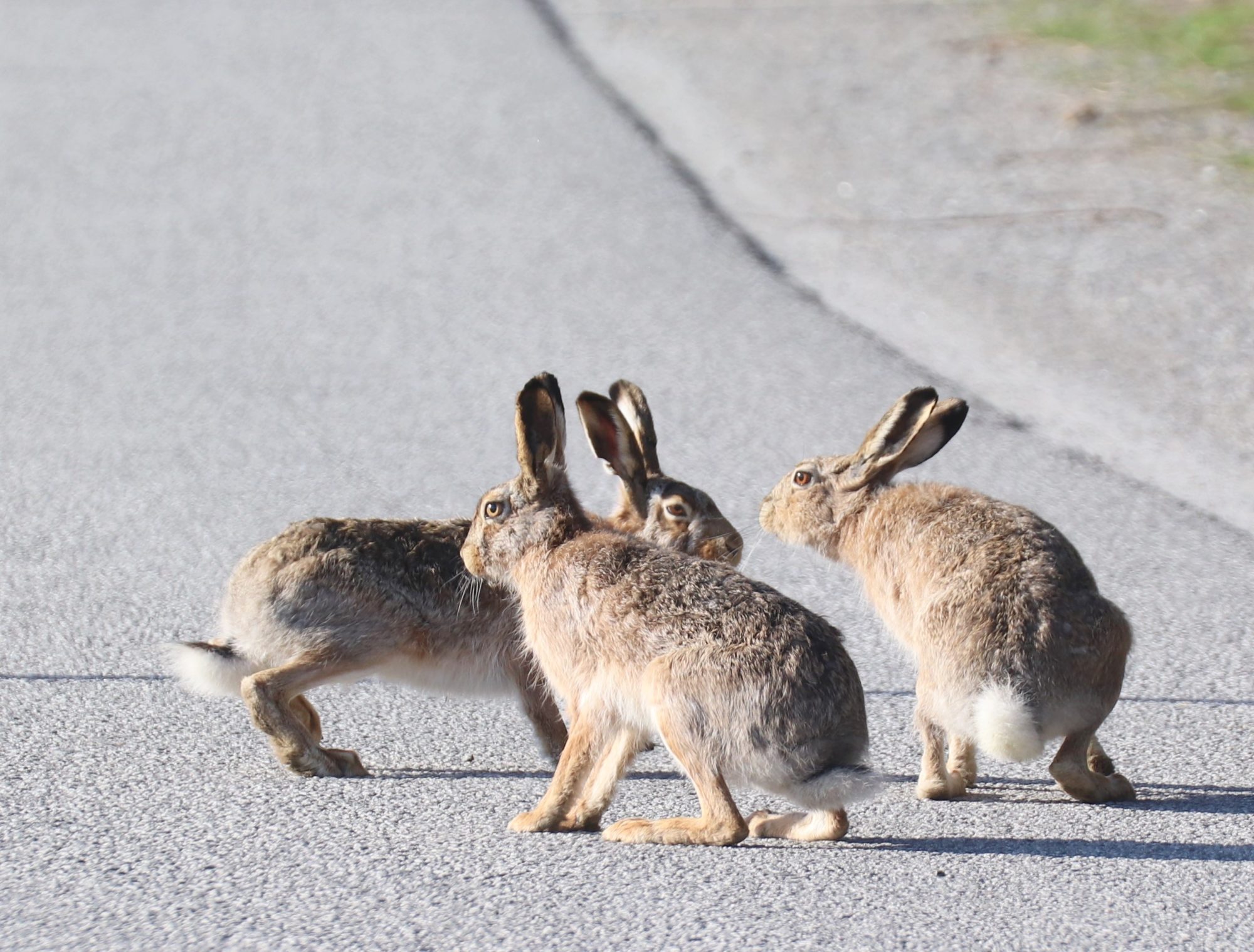Valokuvaaja: Irja Lehtinen