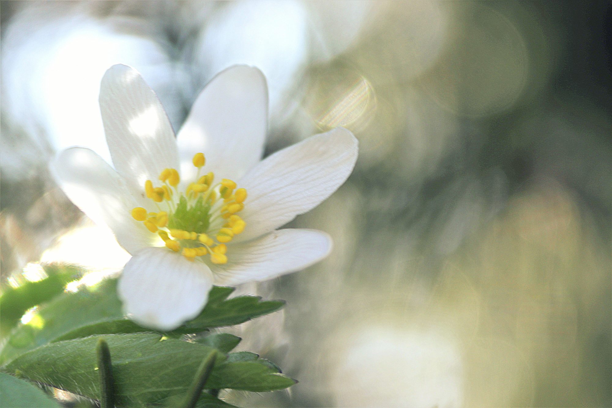 Valokuvaaja: Irja Lehtinen